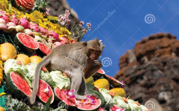 Les festivals à voir une fois dans sa vie : Le buffet des singes (Thaïlande)