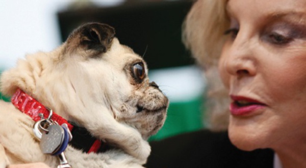 ​Entre l'homme et le chien, l'amour est dans le regard