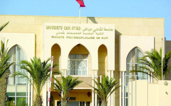 L'Université Cadi Ayyad de Marrakech parmi  les meilleures jeunes universités dans le monde