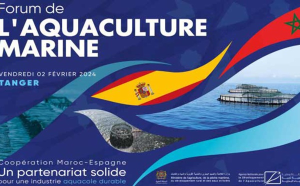 Le troisième Forum de l'aquaculture marine prévu le 2 février à Tanger