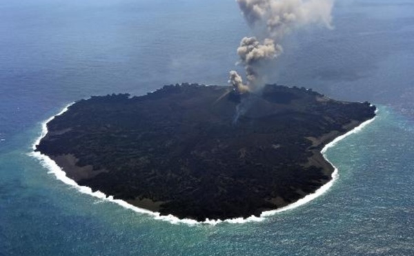 Une île volcanique au Japon révèle un laboratoire naturel du vivant