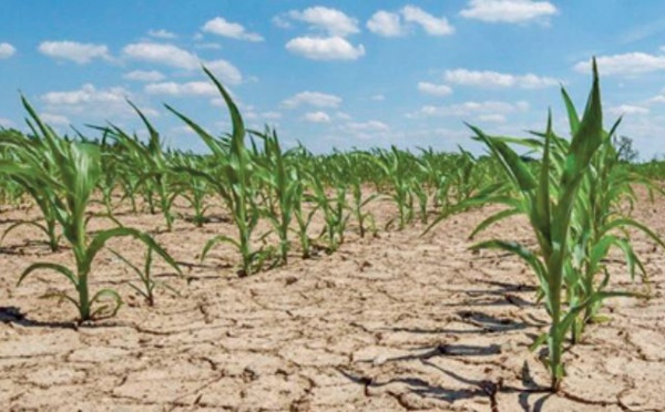 Les prévisions climatiques n’augurent rien de bon