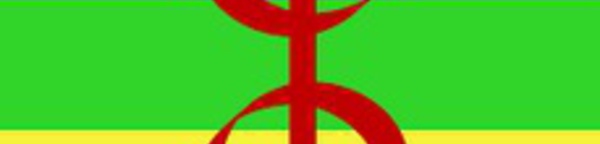 ​Echanges sur la situation de l’amazigh au niveau linguistique, culturel et droits de l’Homme