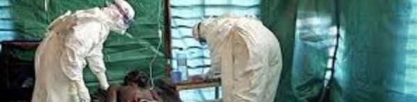 ​La souche du virus Ebola en Afrique de l'Ouest moins virulente que celle de 1976