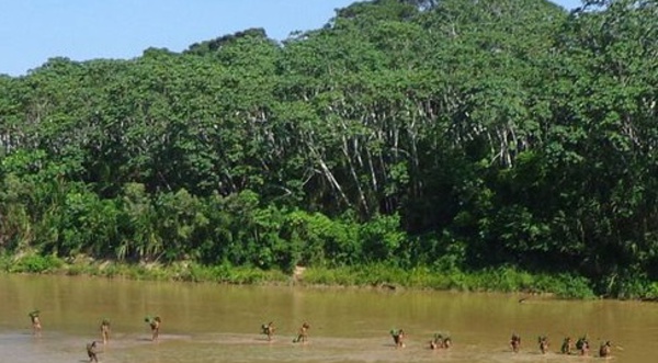 Les dernières tribus isolées d'Amazonie menacées par les contacts avec l'extérieur