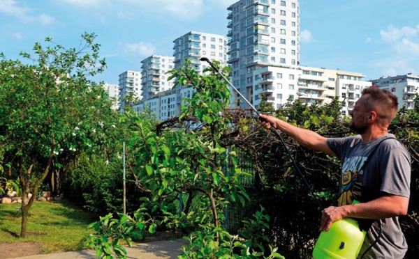 ​A Varsovie, les jardins familiaux résistent aux promoteurs immobiliers