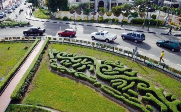 Des micro-jardins à Lagos, poumons de verdure au milieu du chaos urbain