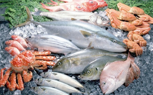 Hausse des produits commercialisés de la pêche côtière et artisanale