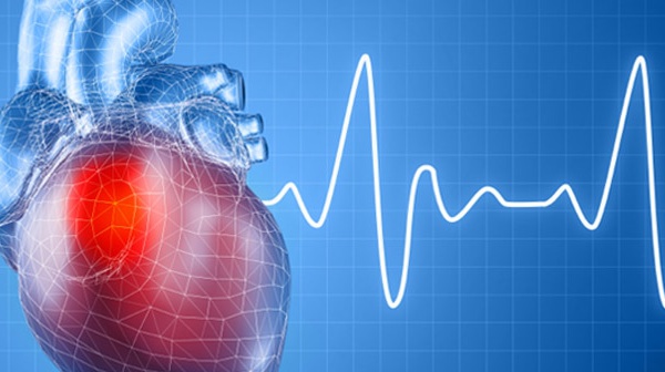 Laâyoune: Atelier sur la rythmologie cardiaque au profit d'une trentaine de médecins
