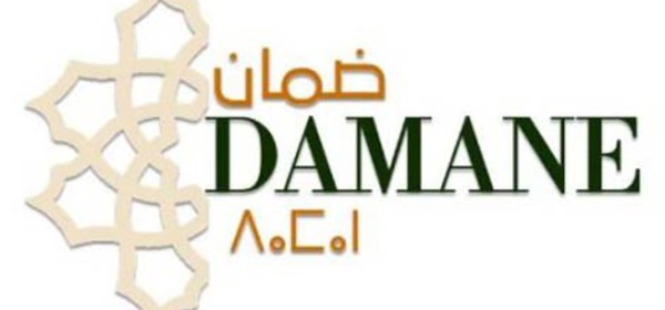 Salon "Damane" à Genève. Une célébration de la culture marocaine qui promeut la citoyenneté et l'ouverture