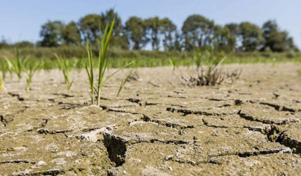 Migration climatique en Afrique du Nord: Complexité et enjeux