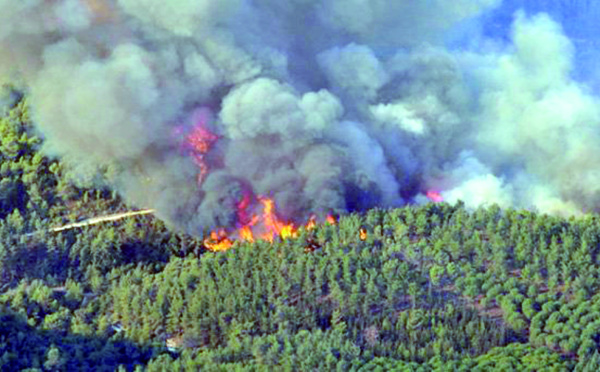 Extinction de deux incendies de forêt dans la préfecture de M'diq-Fnideq