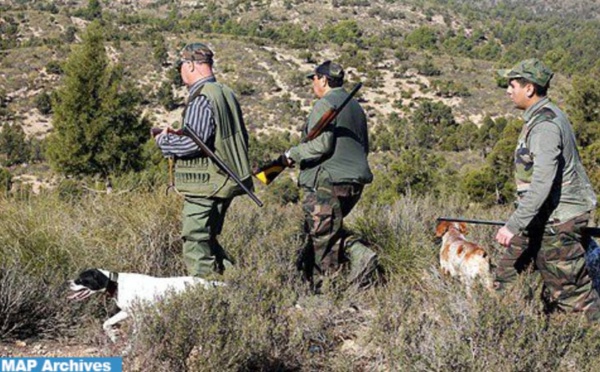 L’ANEF renforce la lutte contre le braconnage à la veille de la nouvelle saison de chasse