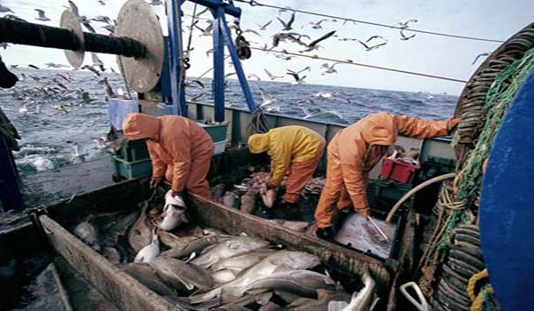 Ports situés sur la Méditerranée : Baisse de 13% des débarquements de pêche à fin septembre