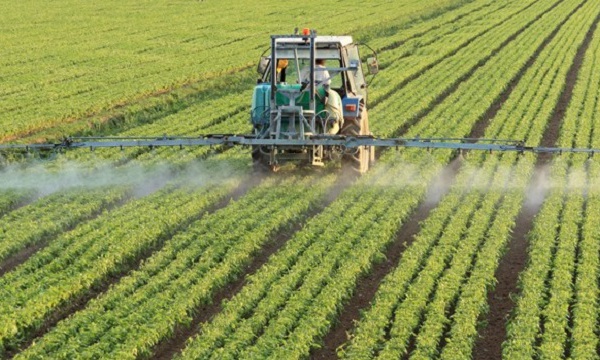 Les récentes précipitations promettent un bon démarrage de la campagne agricole