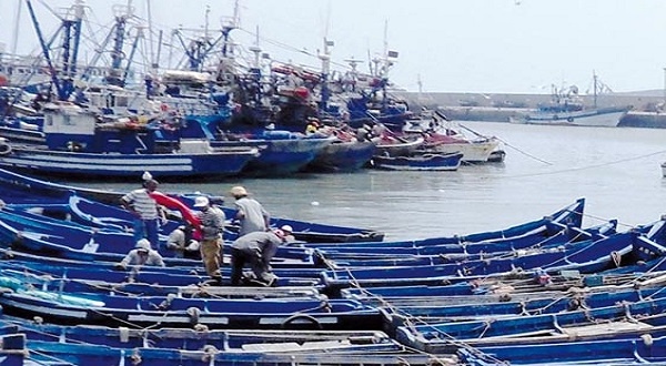 Port de Tan-Tan: Chute de 41% des débarquements de poissons à fin septembre