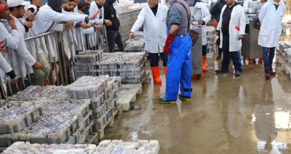 Port de Tarfaya : 5 MDH pour l’extension de la halle aux poissons