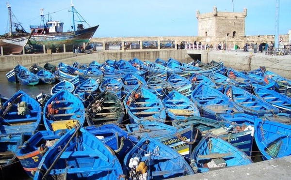 Port d’Essaouira : Hausse de 33% des débarquements de pêche à fin octobre (ONP)