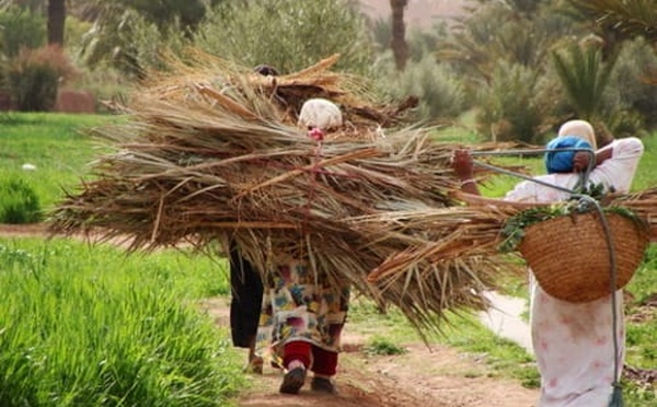 « Sultana Rim », une coopérative de couture redonne aux femmes rurales les clés de leur avenir