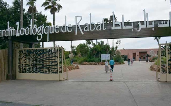 Le Jardin zoologique national est l’attraction la plus visitée de Rabat