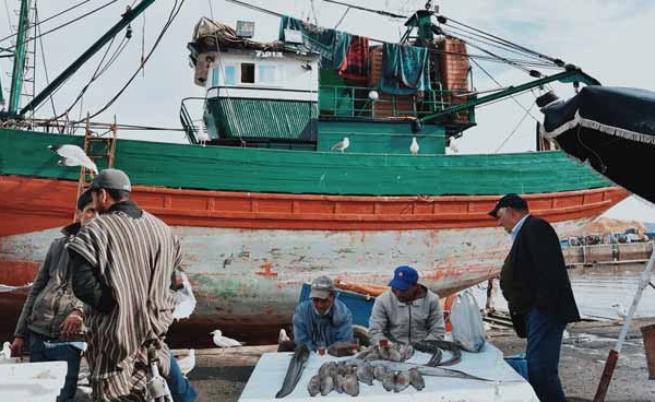 Port de Tan-Tan :  Chute de 45% des débarquements de la pêche côtière et artisanale en 2024