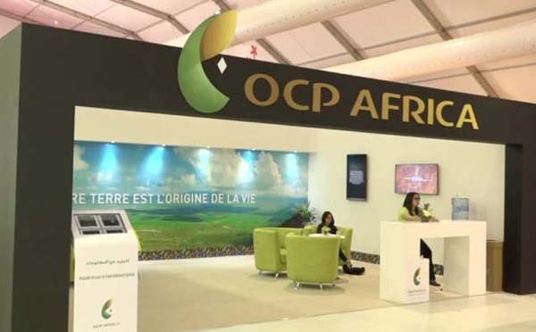 Nairobi: OCP Africa présente ses solutions innovantes à l'Africa Agri Expo 2025