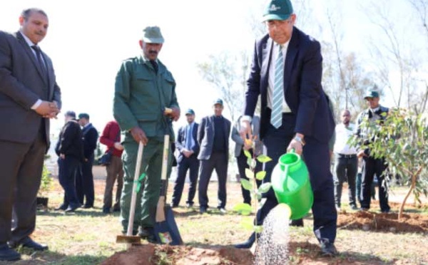 Rabat : L’ANEF célèbre la Journée internationale des forêts