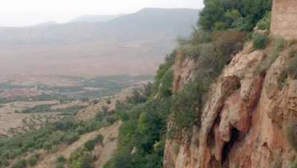 Interpellation de 10 braconniers dans le secteur forestier de Rchida près de Guercif