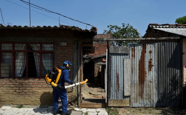 Plus de 20.000 cas du virus Zika en Colombie