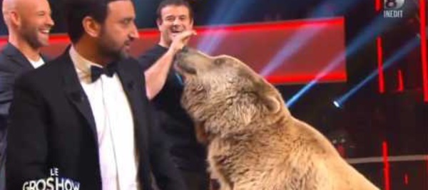 Un ours effraie Gad Elmaleh et Cyril Hanouna dans “Le Gros Show”