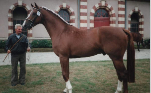 Assurer un meilleur encadrement des éleveurs de chevaux