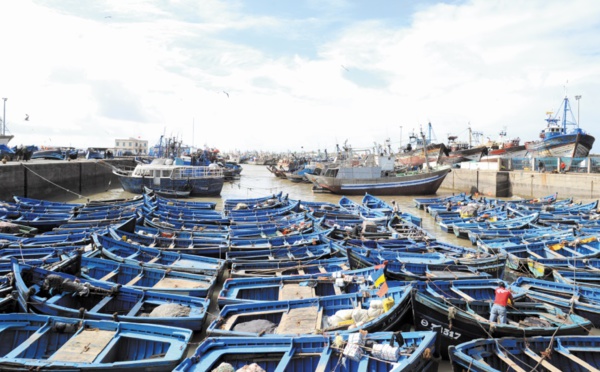 Malal évoque l’impact écologique de l’extension du port d’Essaouira