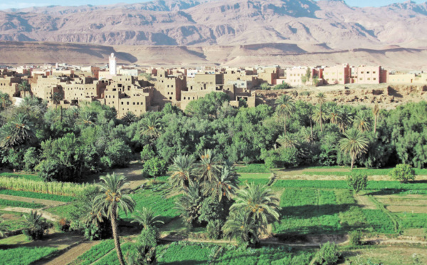 Les oasis marocaines face  aux changements climatiques