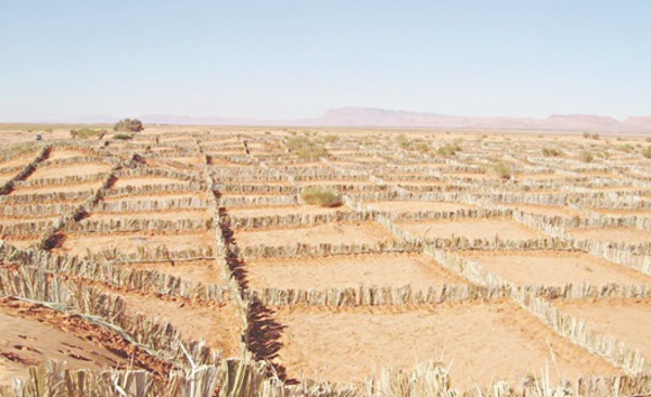 Présentation de l'expérience marocaine en matière de gestion durable des terres