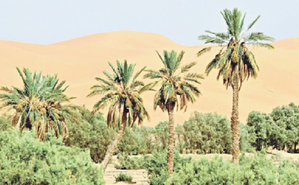 Renforcer les approches favorisant la conservation de la biodiversité au Maroc