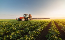 La valeur ajoutée agricole en baisse au premier trimestre 2024