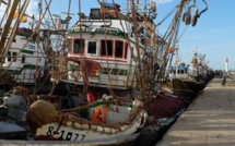 Port de Boujdour: Hausse de 4% des débarquements de pêche à fin août 2024