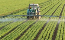 Les récentes précipitations promettent un bon démarrage de la campagne agricole