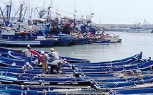 Port de Tan-Tan: Chute de 41% des débarquements de poissons à fin septembre