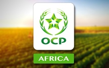 Rwanda: OCP Africa lance des Centres de services agricoles