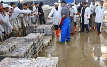 Port de Tarfaya : 5 MDH pour l’extension de la halle aux poissons