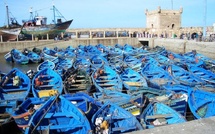 Port d’Essaouira : Hausse de 33% des débarquements de pêche à fin octobre (ONP)