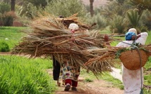 « Sultana Rim », une coopérative de couture redonne aux femmes rurales les clés de leur avenir