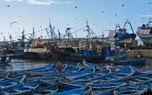 Port de Mehdia : Les débarquements de pêche en baisse de 19% à fin novembre 2024