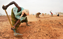 L’Afrique face aux bouleversements climatiques