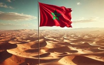 Sahara marocain. Les succès de la diplomatie marocaine mis en lumière lors d'une conférence à Casablanca