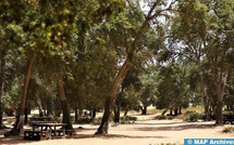 Rencontre à Oujda sur l’agroforesterie et les perspectives de son développement dans l’Oriental