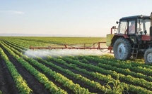 Fès: La Fédération nationale de l'investissement agricole et touristique tient son 3ème congrès national