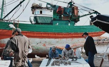 Port de Tan-Tan :  Chute de 45% des débarquements de la pêche côtière et artisanale en 2024