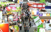 Les produits agricoles marocains à l’honneur au "Fruit Logistica" de Berlin